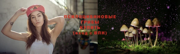 экстази Коряжма