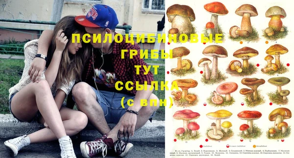 экстази Коряжма